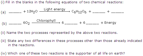 Chapter Photosynthesis Frank Modern Certificate Solutions For Class Biology Icse