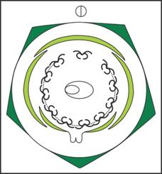 identify the below floral diagram and describe the gynoecium and androecium  of the respective family - Biology - TopperLearning.com | 12qsyvsuu