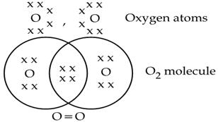 with the help of electron dot representation explain the formation of o2 molecule - Chemistry - TopperLearning.com | 8d8ewfnww