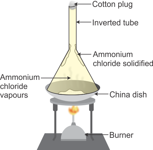 24 Best Draw a sketch for an experimental setup for sublimation for App