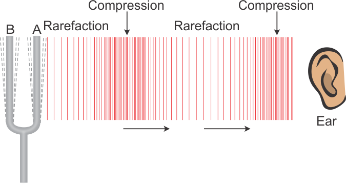 Sound Particles Density instal the new version for android