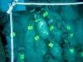 2,000 Year-Old Roman Shipwreck So Well-Preserved, Even The Food Is 'Fresh'