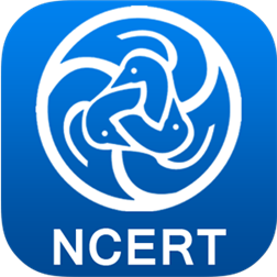 Be Competition-ready with NCERT Solutions