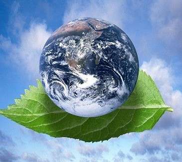 Environmental Issues to Focus on