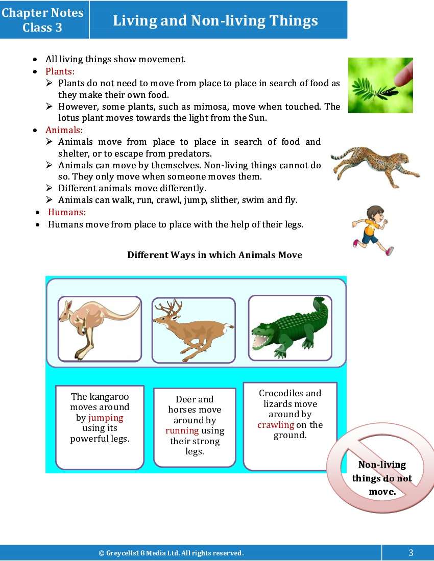 Chapter Notes for Class 3 Junior General Science, Living and Non-living  Things - Topperlearning