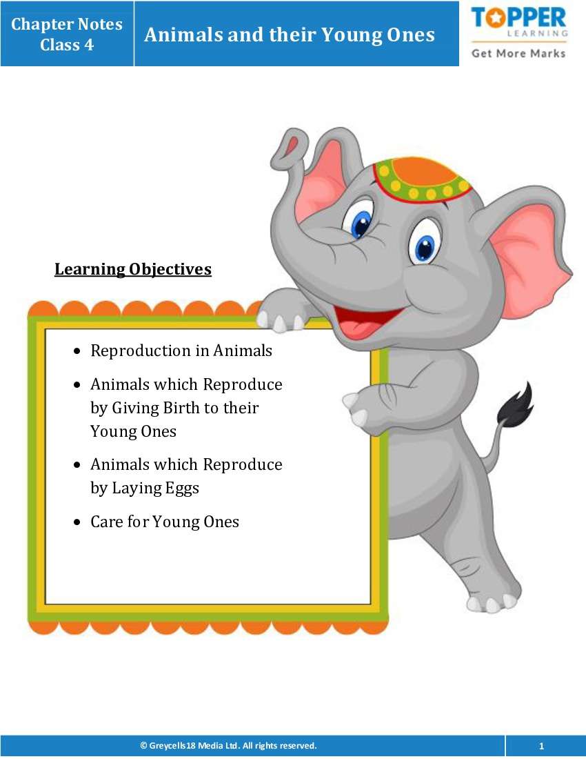 Chapter Notes for Class 4 Junior General Science, Animals and their Young  ones - Topperlearning