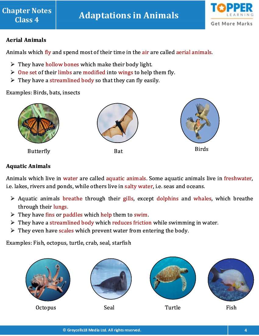 Chapter Notes for Class 4 Junior General Science, Adaptations in Animals -  Topperlearning