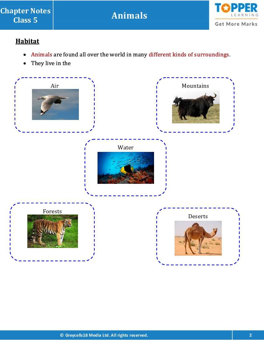 Chapter Notes for Class 5 Junior General Science, Animals - Topperlearning