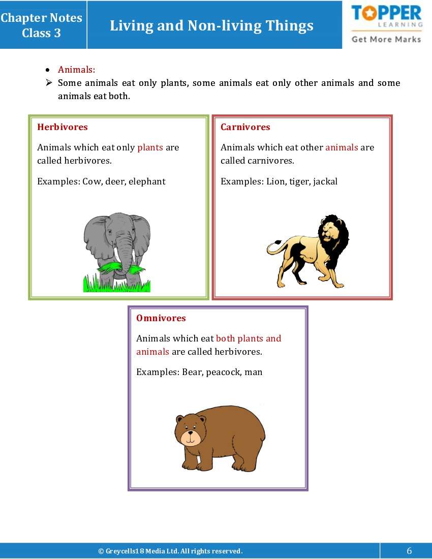 Chapter Notes for Class 3 Junior General Science, Living things Eat,  Breathe and Grow - Topperlearning