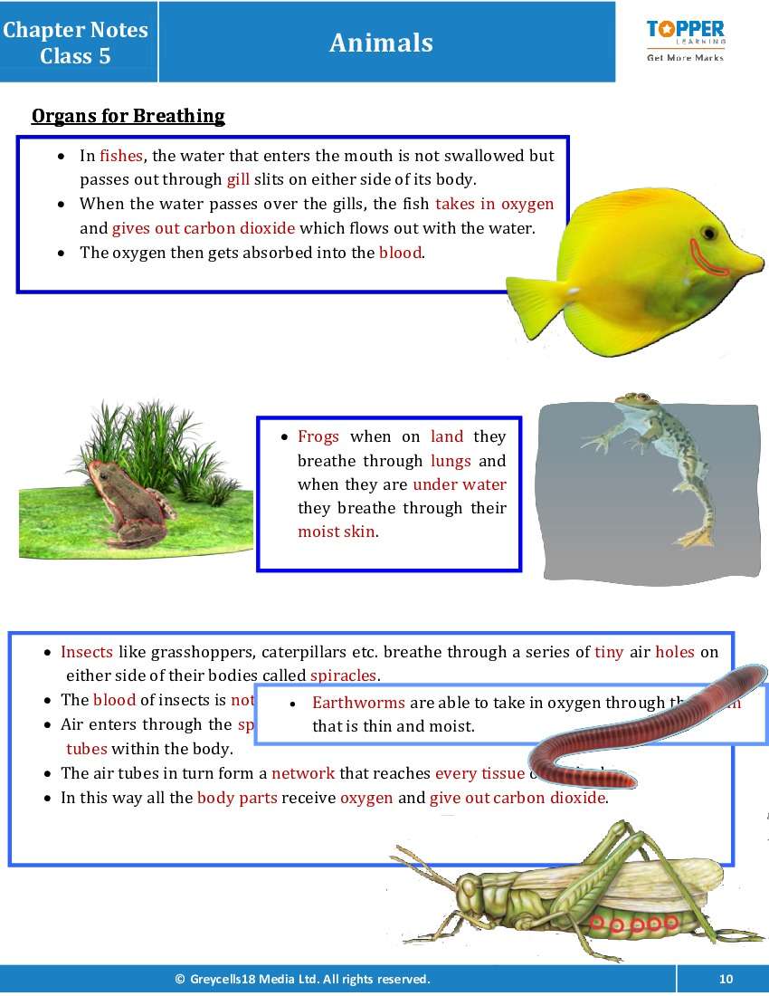 chapter-notes-for-class-5-junior-general-science-animals-topperlearning