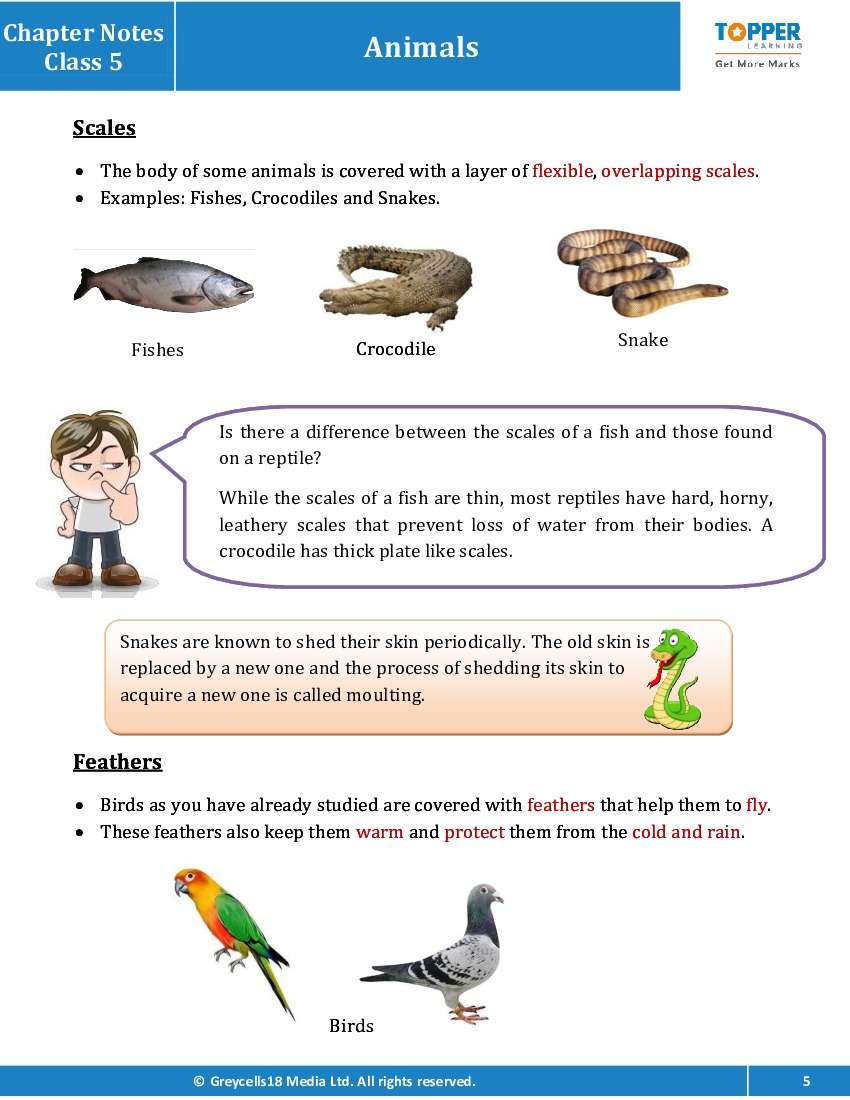 Chapter Notes for Class 5 Junior General Science, Adaptations -  Topperlearning