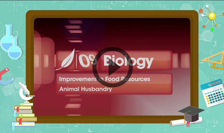 Animal Husbandry ,Improvement in Food Resources - Notes, Questions &  Answers for CBSE Class 9 - TopperLearning