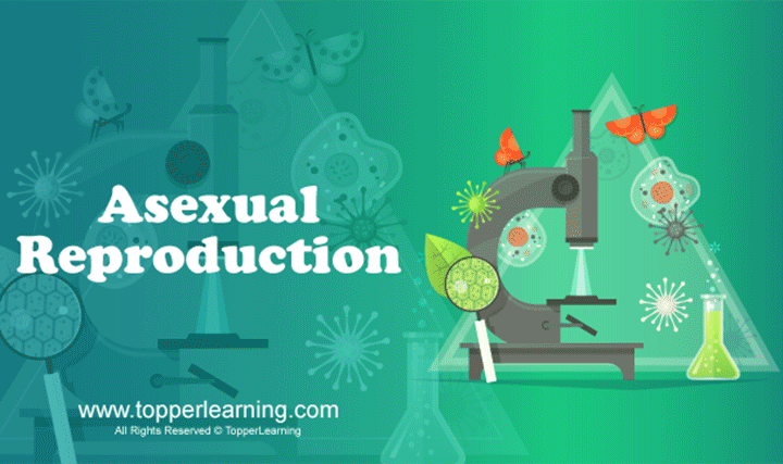 MIZORAM Class 12-science-Asexual Reproduction
