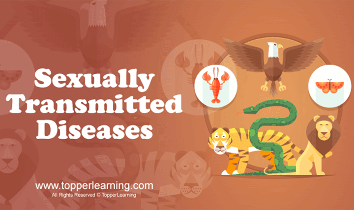 Reproductive Health - Sexually Transmitted Diseases and Infertility