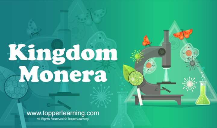 Biological Classification - Kingdoms: Monera and Protista