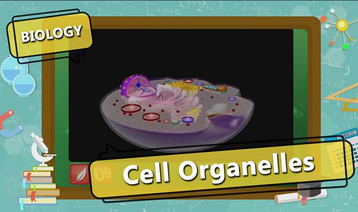 videoimg/Cell_Organelles_ENG_01_New.jpg