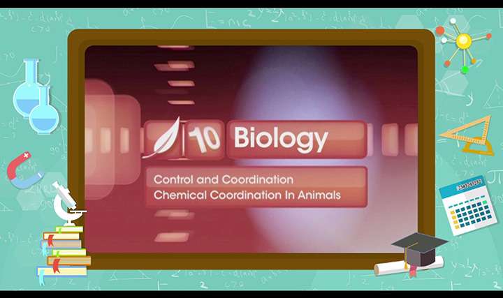 Chemical Coordination in Animals ,Control and Coordination - Notes,  Questions & Answers for CBSE Class 10 - TopperLearning