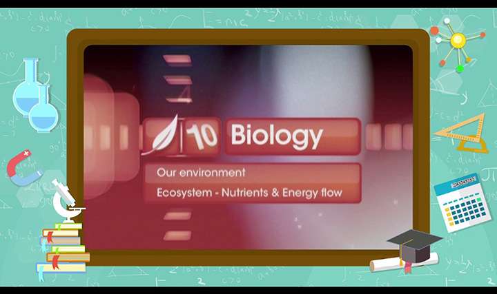 Environment - Ecosystem - Nutrients and Energy Flow