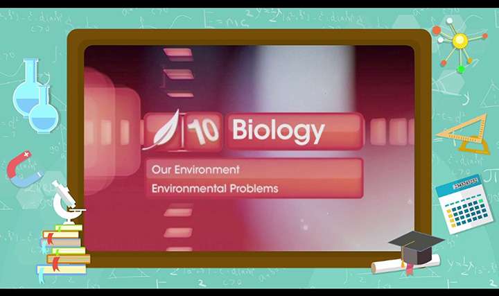 Environment - Environmental Problems