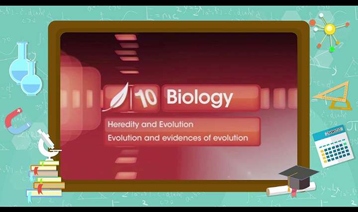 Heredity and Evolution - Evolution and Evidences of Evolution