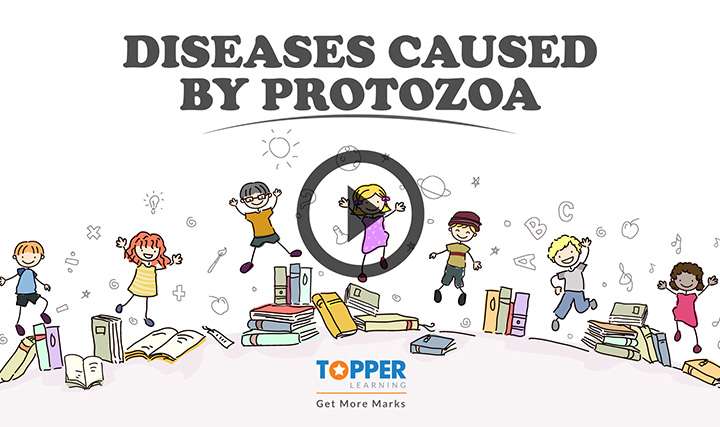 Diseases: Cause and Control - Diseases Caused by  Protozoa