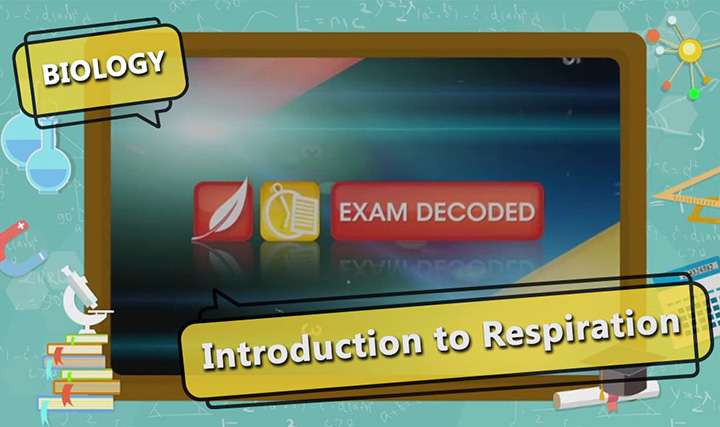Life Processes - Introduction to Respiration
