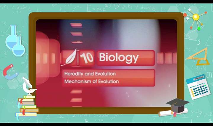 Heredity and Evolution - Mechanism of Evolution