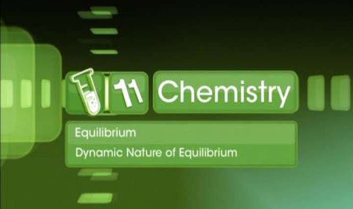 Equilibrium - Dynamic Nature of Equilibrium - Part 1