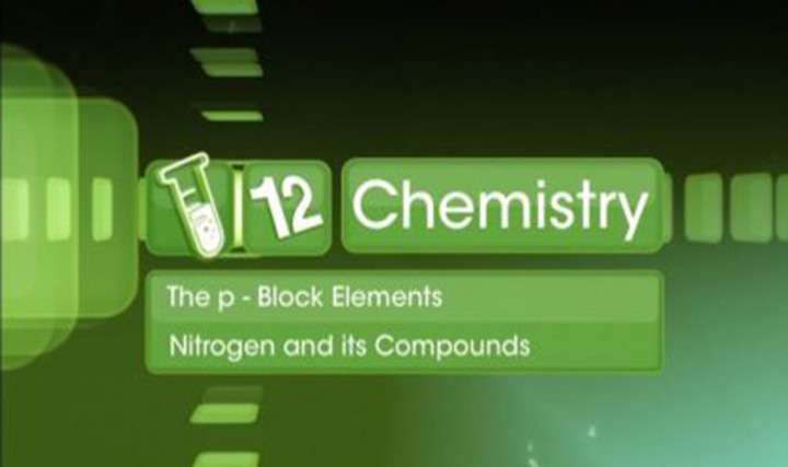 p-Block Elements - Nitrogen - 