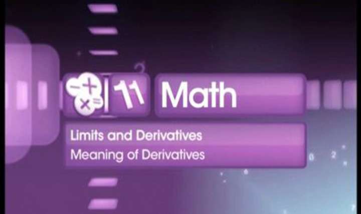 Meaning of Derivatives - 