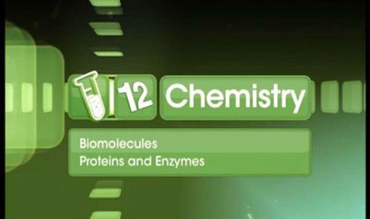 Proteins and Enzymes - 