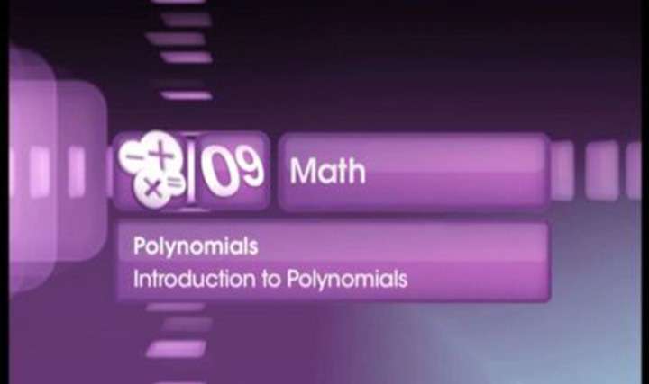 Introduction to Polynomials - 