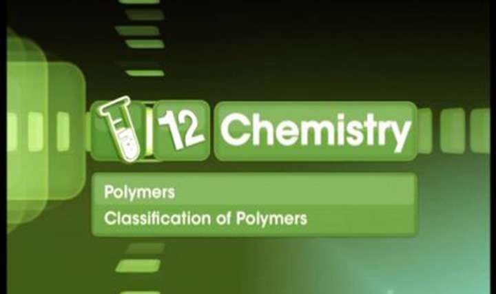 Polymer classification and related concepts - 