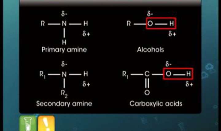 Physical and Chemical Properties of Amine - 