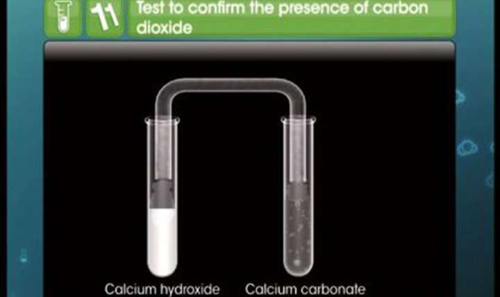 The s-Block Elements - Important Compounds of Sodium and Calcium - Exam Decoded