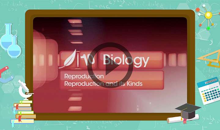 Reproduction in Organisms - Types of Reproduction - Part 1