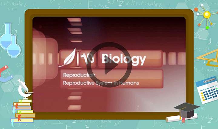 Reproduction in Organisms - Sexual Reproduction in Humans - Part 1