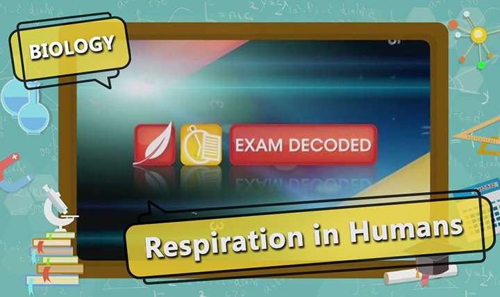 Respiration in Organisms - Respiration in Organisms - Exam Decoded - 2