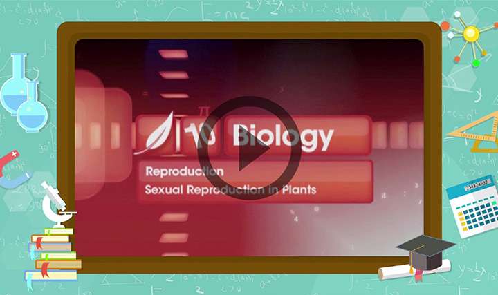 How Do Organisms Reproduce? - Sexual Reproduction in Plants