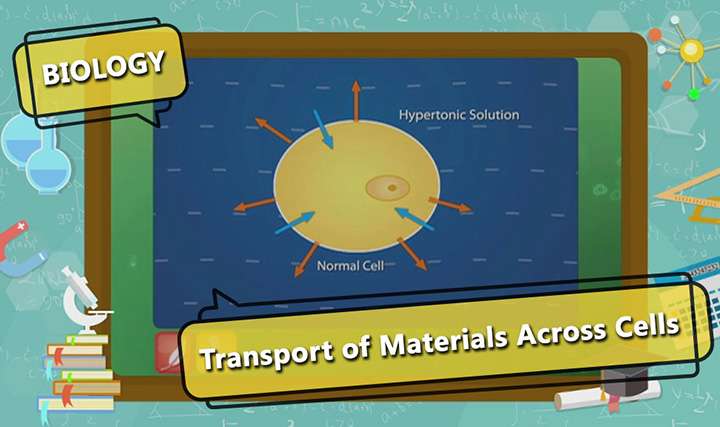Processes involved in Transport of Materials - Behaviour of Cells