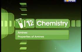 Physical and chemical properties of amines 