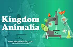 videoimg/thumbnails/CBSE_ClassXI_Biology_BiologicalClassification_KingdomAnimalia.jpg