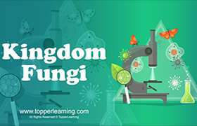 videoimg/thumbnails/CBSE_ClassXI_Biology_BiologicalClassification_KingdomFungi.jpg