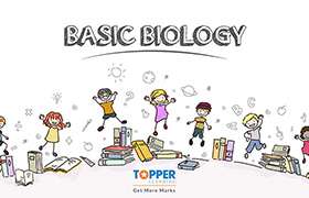 Basic Biology 