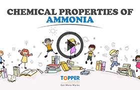 Study of Compounds - Ammonia and Nitric Acid 