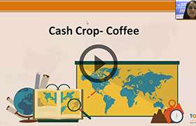 Agriculture in India II-Cash crops 