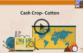 Agriculture in India II-Cash crops 