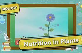 videoimg/thumbnails/Nutrition_in_Plants_SEG_01_New.jpg