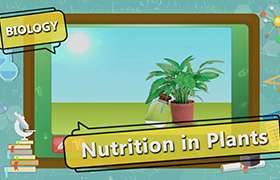 videoimg/thumbnails/Nutrition_in_Plants_SEG_02_New.jpg
