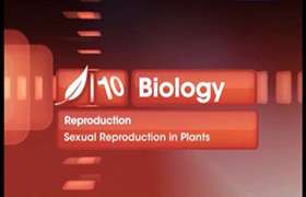 Reproduction in Organisms 